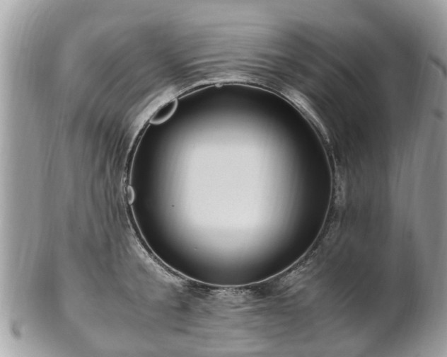 X0000101170805200807071220