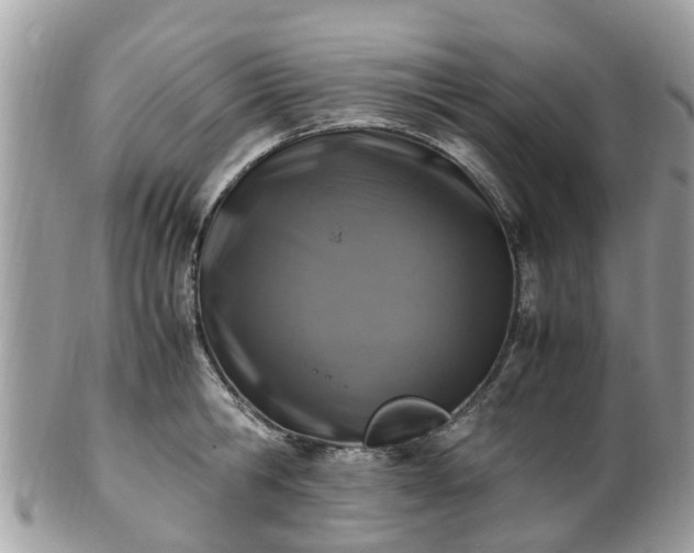 X0000101170806200807071220