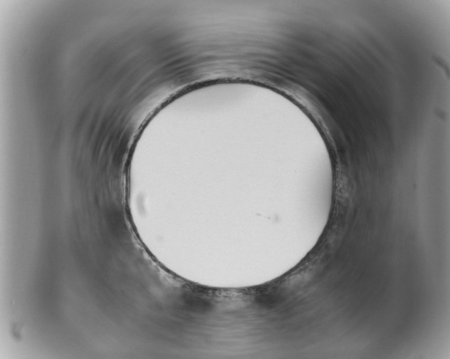 X0000101170807200807071220