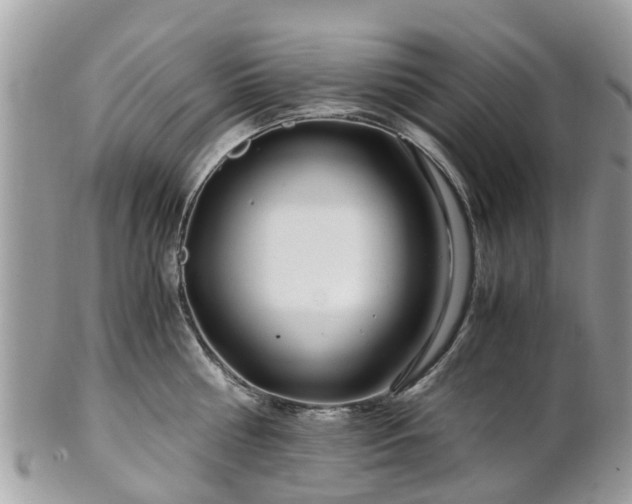 X0000101170810200807071220