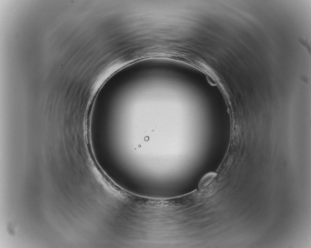 X0000101170811200807071220