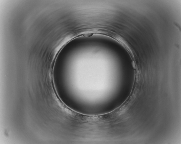 X0000101170813200807071220