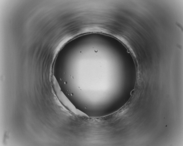 X0000101170815200807071220