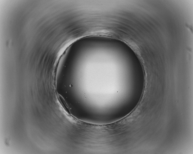 X0000101170816200807071220