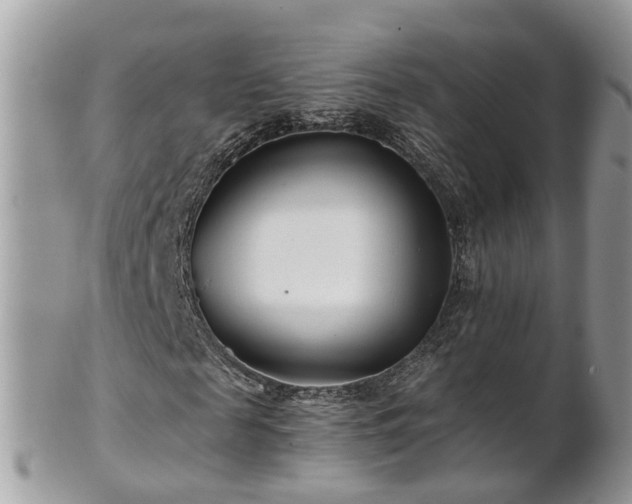 X0000101170817200807071219