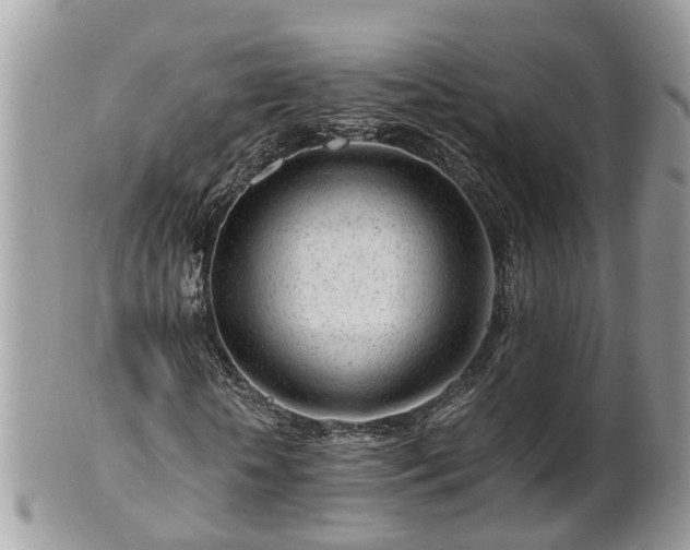 X0000101170818200807071219