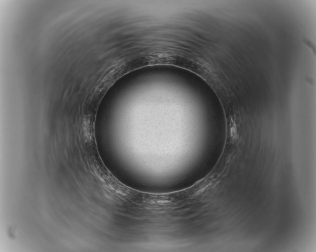 X0000101170819200807071219