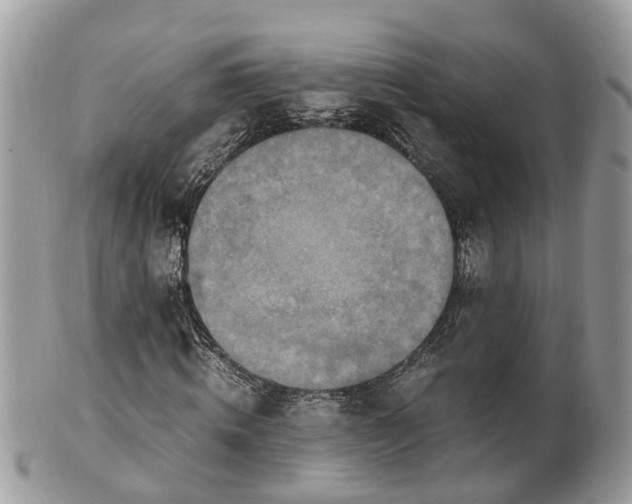 X0000101170820200807071219
