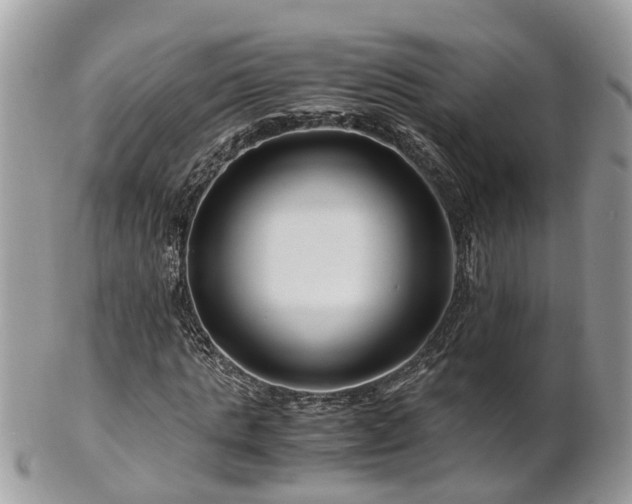 X0000101170821200807071219