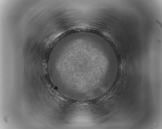 X0000101170822200807071219