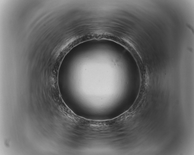 X0000101170823200807071219