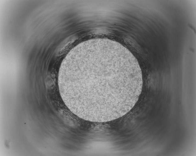 X0000101170824200807071219