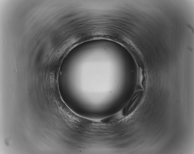 X0000101170825200807071219