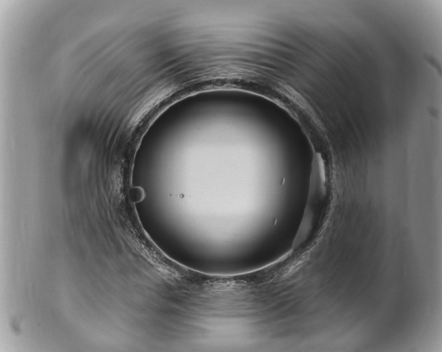 X0000101170826200807071219