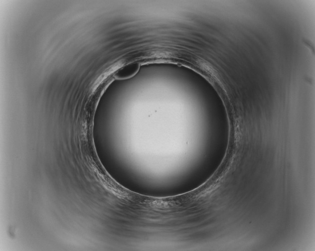 X0000101170827200807071219