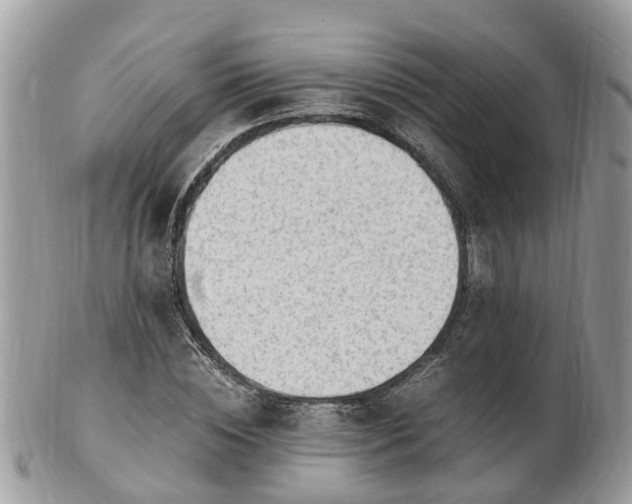 X0000101170828200807071219