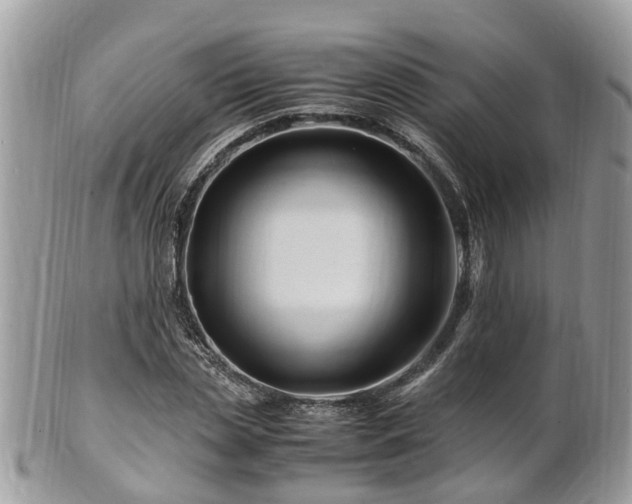 X0000101170829200807071219