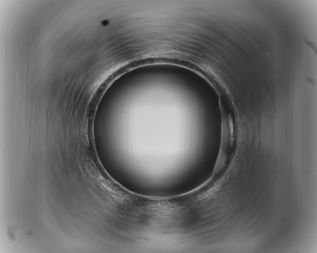 X0000101170830200807071219