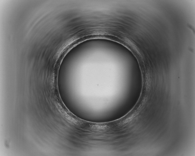 X0000101170831200807071219