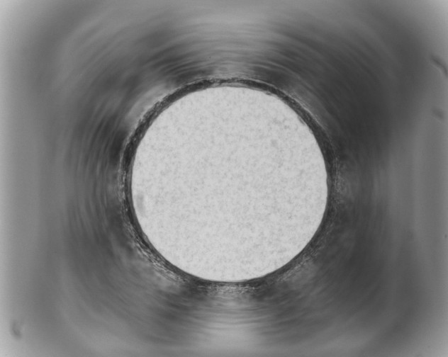 X0000101170832200807071219