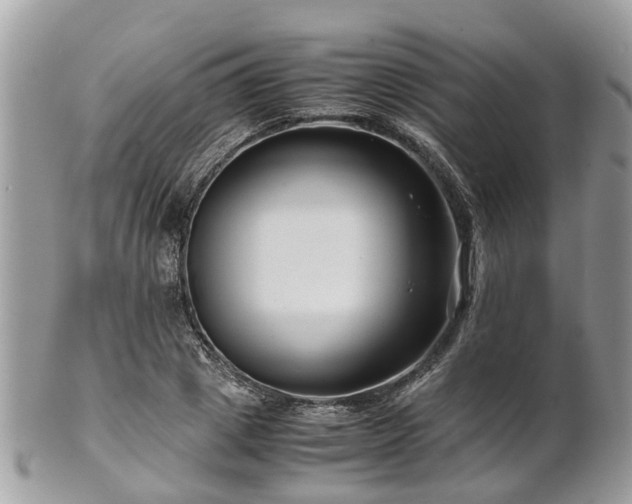 X0000101170833200807071219