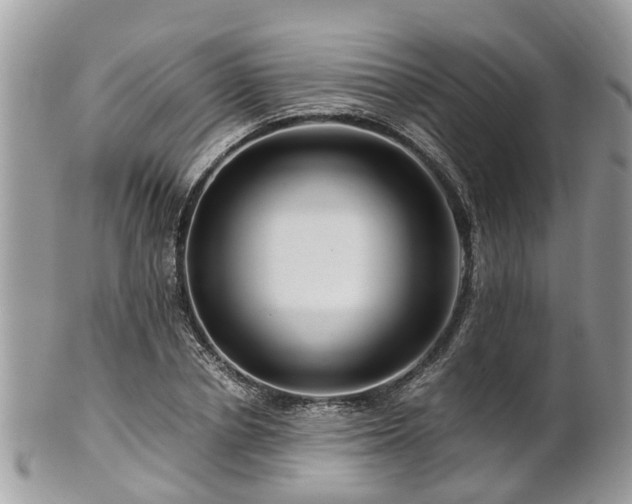 X0000101170834200807071219