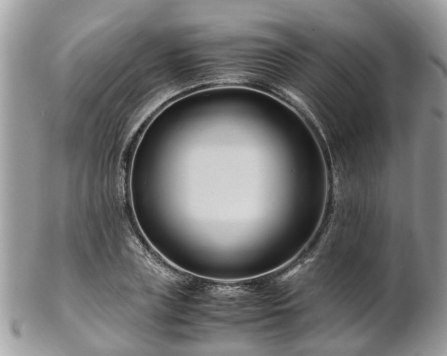 X0000101170835200807071219
