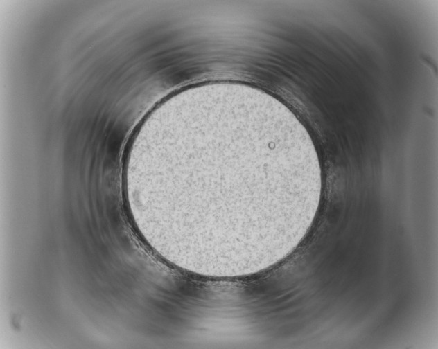 X0000101170836200807071219