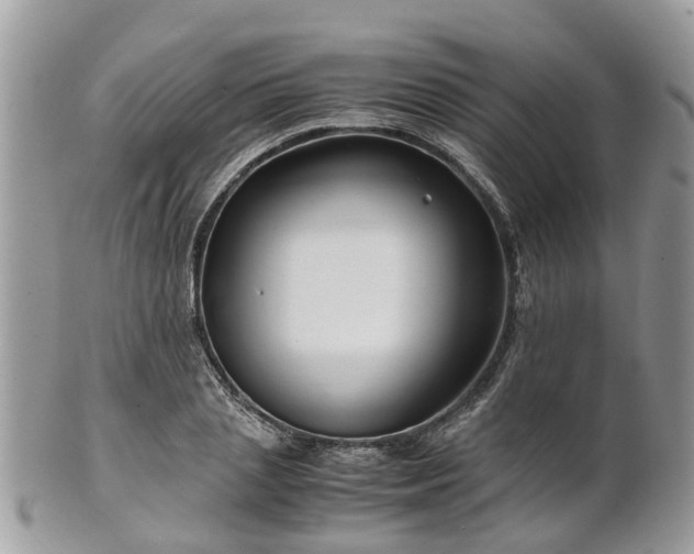 X0000101170837200807071219
