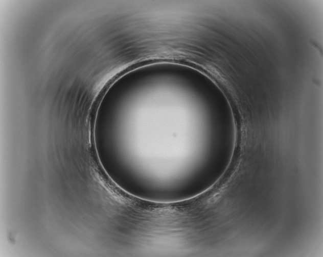 X0000101170838200807071219