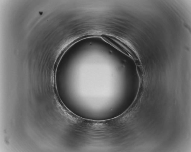 X0000101170839200807071219