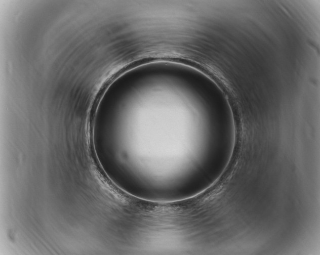X0000101170840200807071219