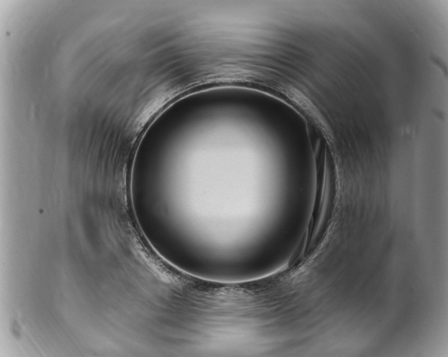 X0000101170842200807071219