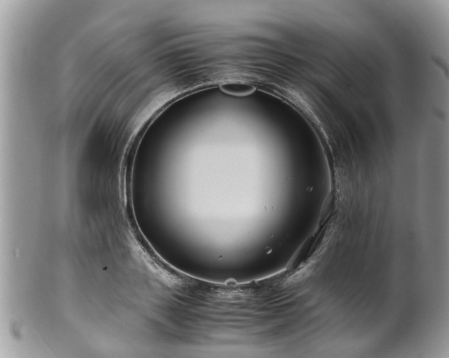 X0000101170843200807071219