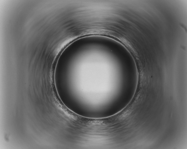 X0000101170846200807071219