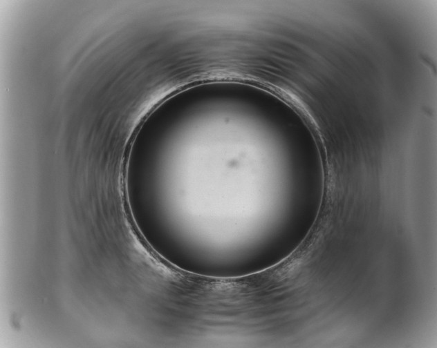 X0000101170847200807071219