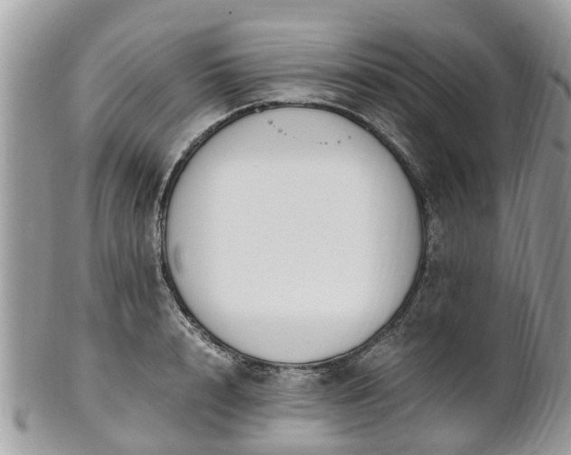 X0000101170848200807071219