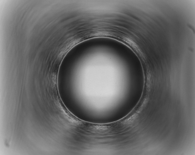 X0000101170849200807071219