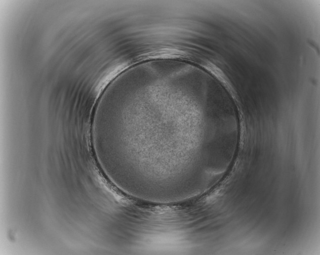 X0000101170850200807071220