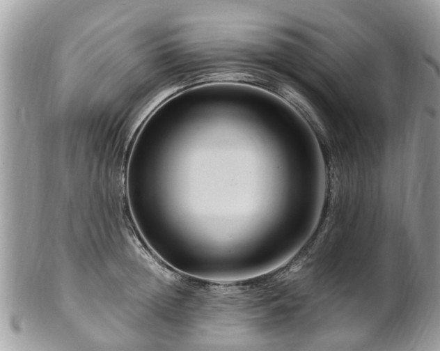 X0000101170852200807071220