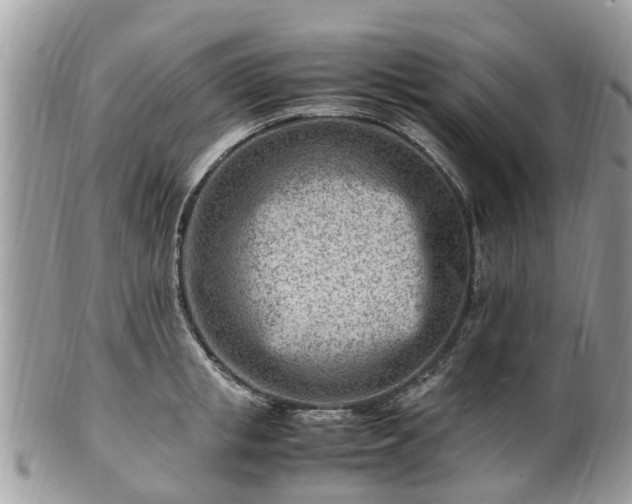X0000101170853200807071220