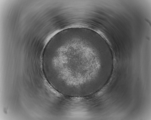 X0000101170854200807071220