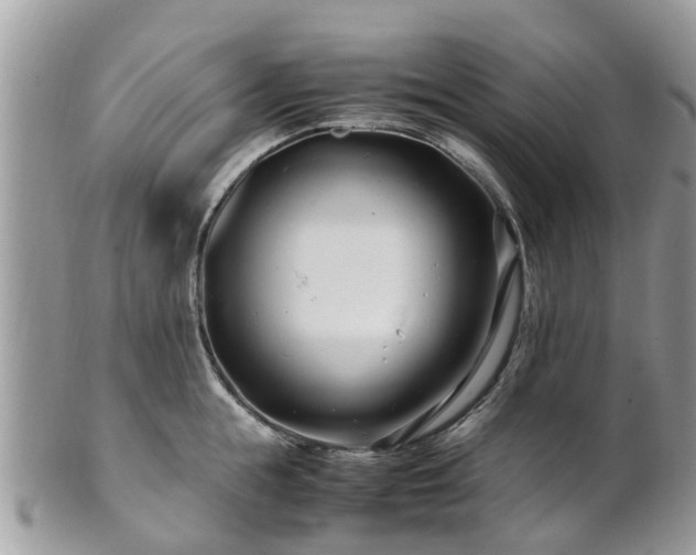 X0000101170855200807071220