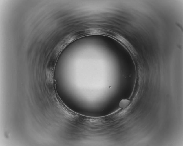X0000101170857200807071220