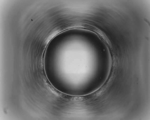 X0000101170858200807071220