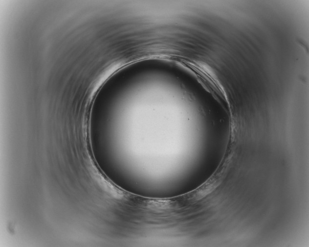 X0000101170859200807071220