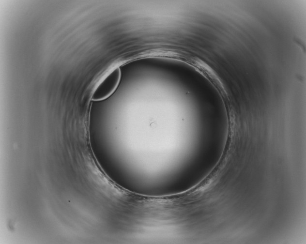 X0000101170860200807071220