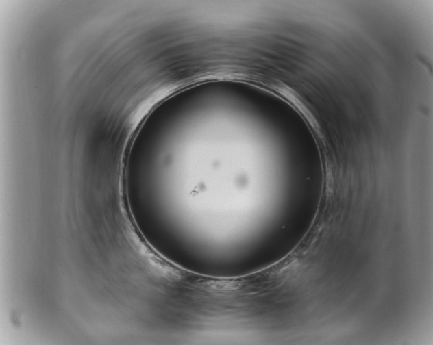 X0000101170861200807071220