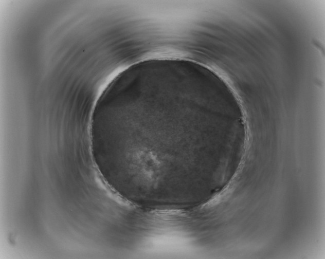 X0000101170864200807071220