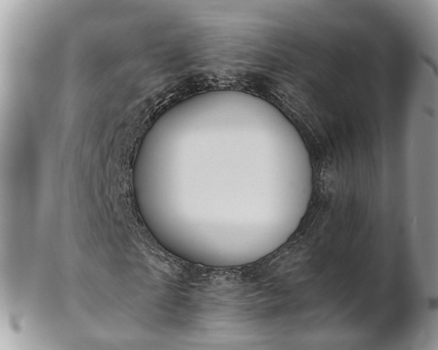 X0000101170865200807071219